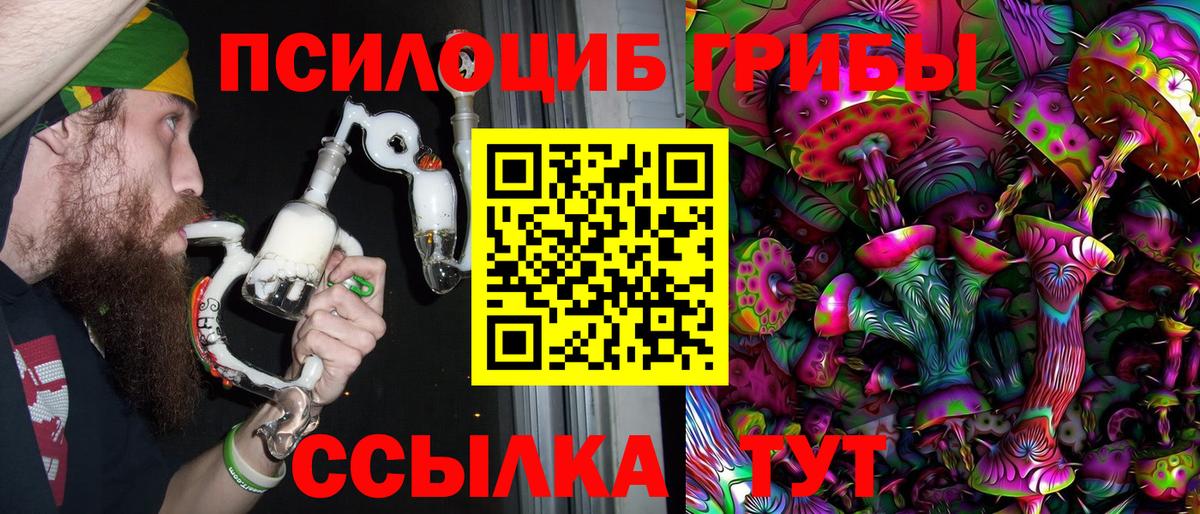 Шебекино  Псилоцибиновые грибы Cubensis  Вход с VPN 